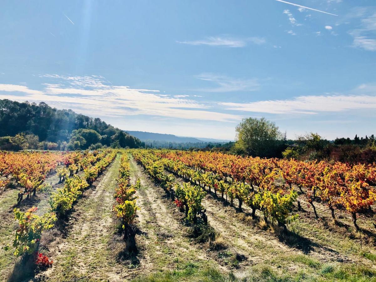 La Maison D Ame - For The Perfect Stay At The Mont Ventoux Malaucène エクステリア 写真