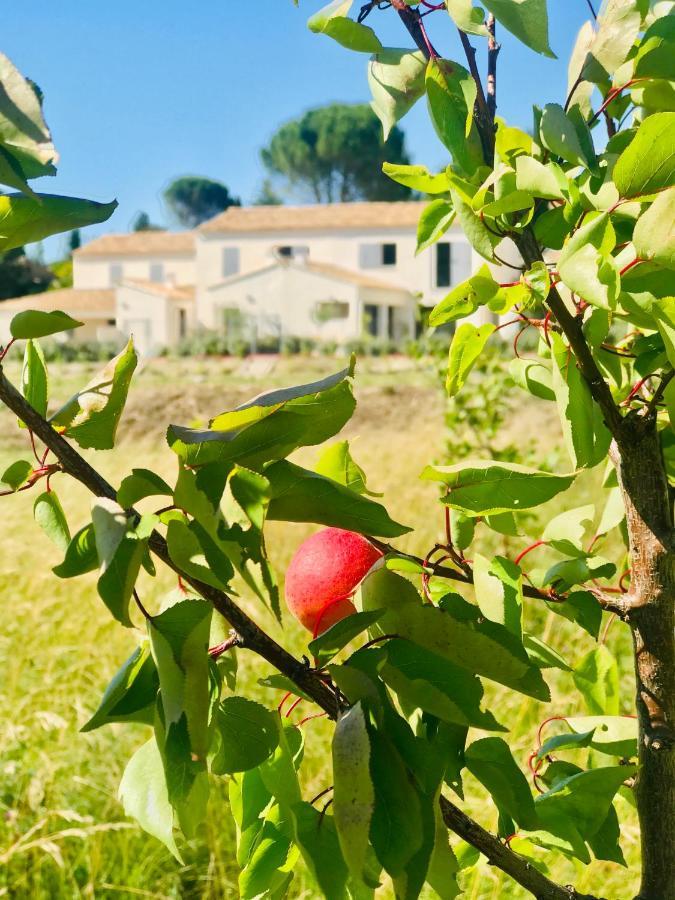La Maison D Ame - For The Perfect Stay At The Mont Ventoux Malaucène エクステリア 写真